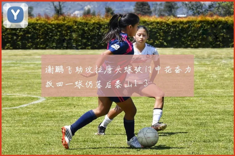 谢鹏飞助攻拉唐头球破门申花奋力扳回一球仍落后泰山1-3