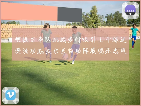 樊振东率队挑战多特吸引上千球迷现场助威波尔亲临助阵展现死忠风采